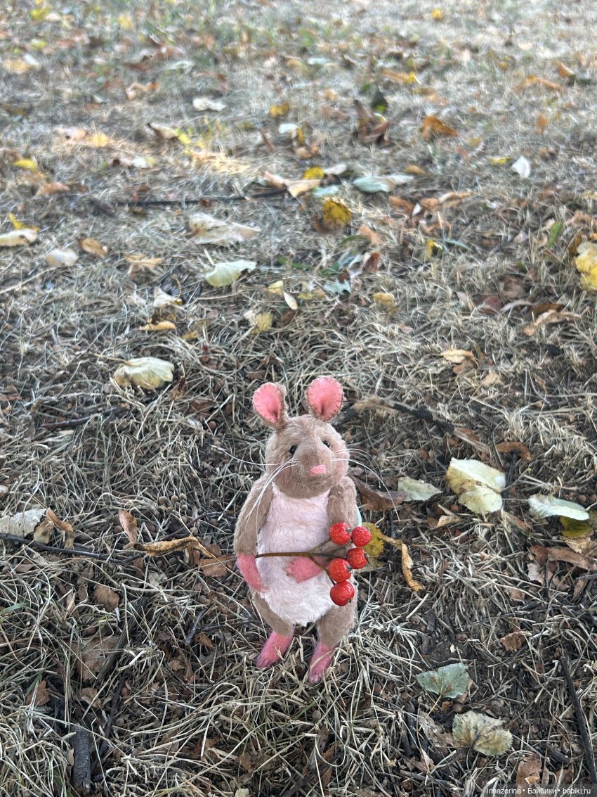 Крыс,Миш и краски осени 🍁 (фото 8)