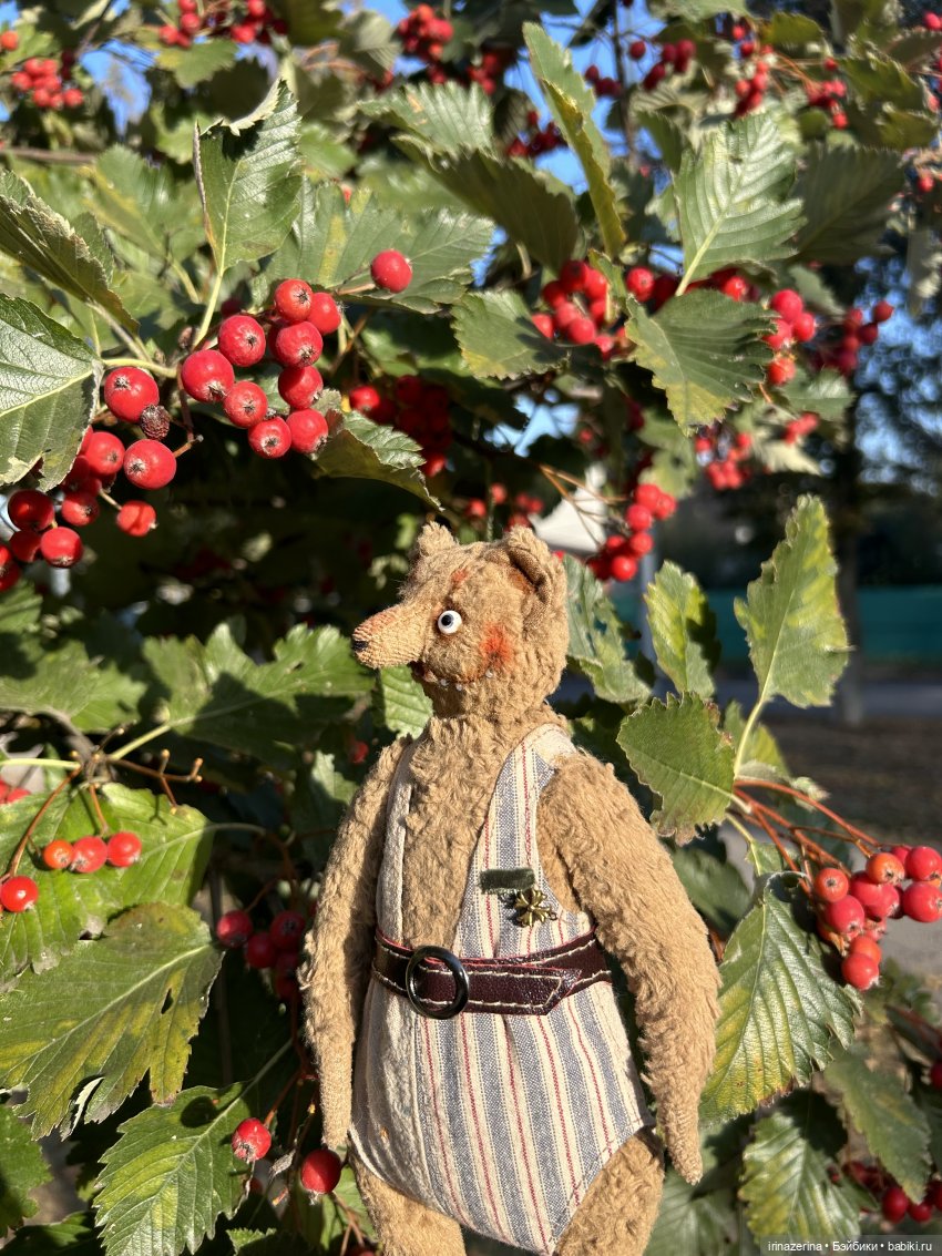 Крыс,Миш и краски осени 🍁