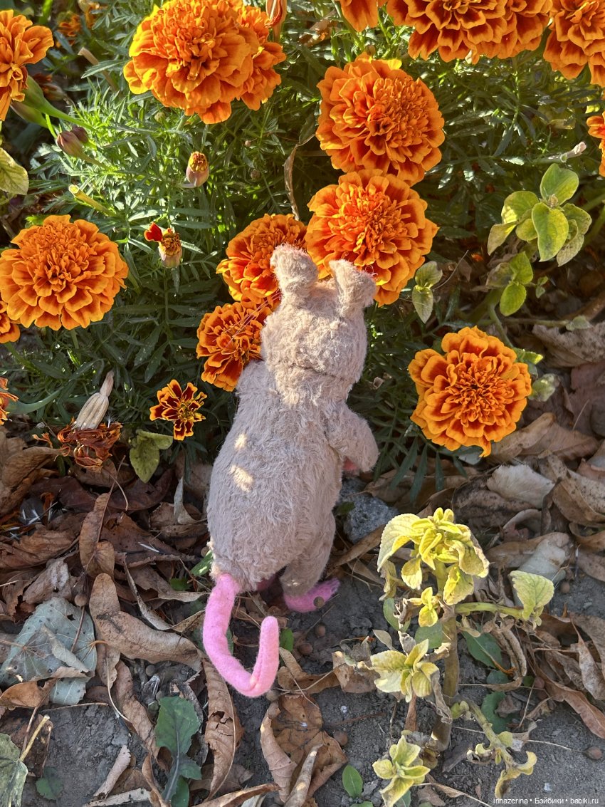 Крыс,Миш и краски осени 🍁 (фото 4)