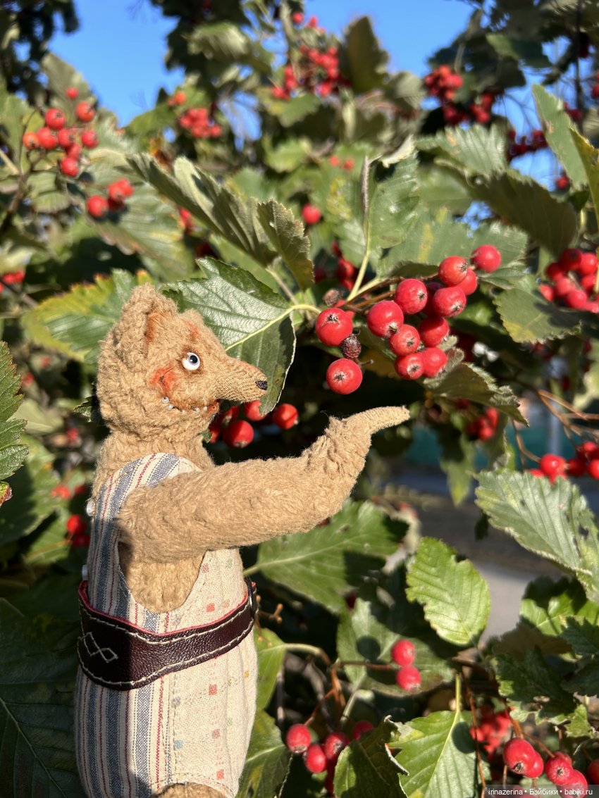 Крыс,Миш и краски осени 🍁