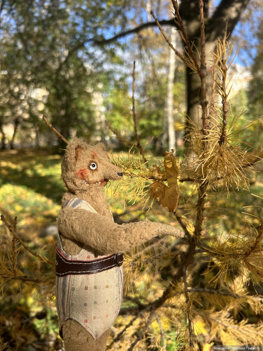 Миша и осень, которая пришла! 🍂 (фото 4)