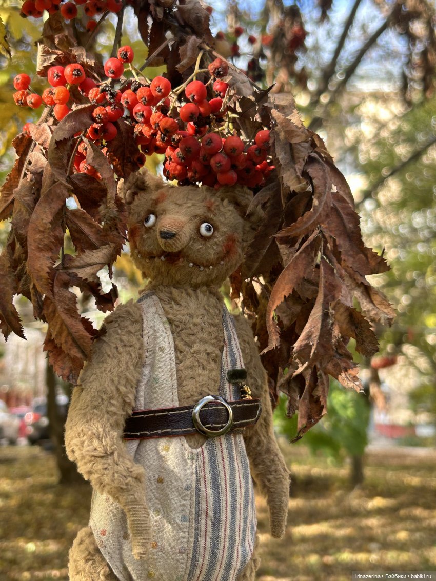 Миша и осень, которая пришла! 🍂 (фото 9)