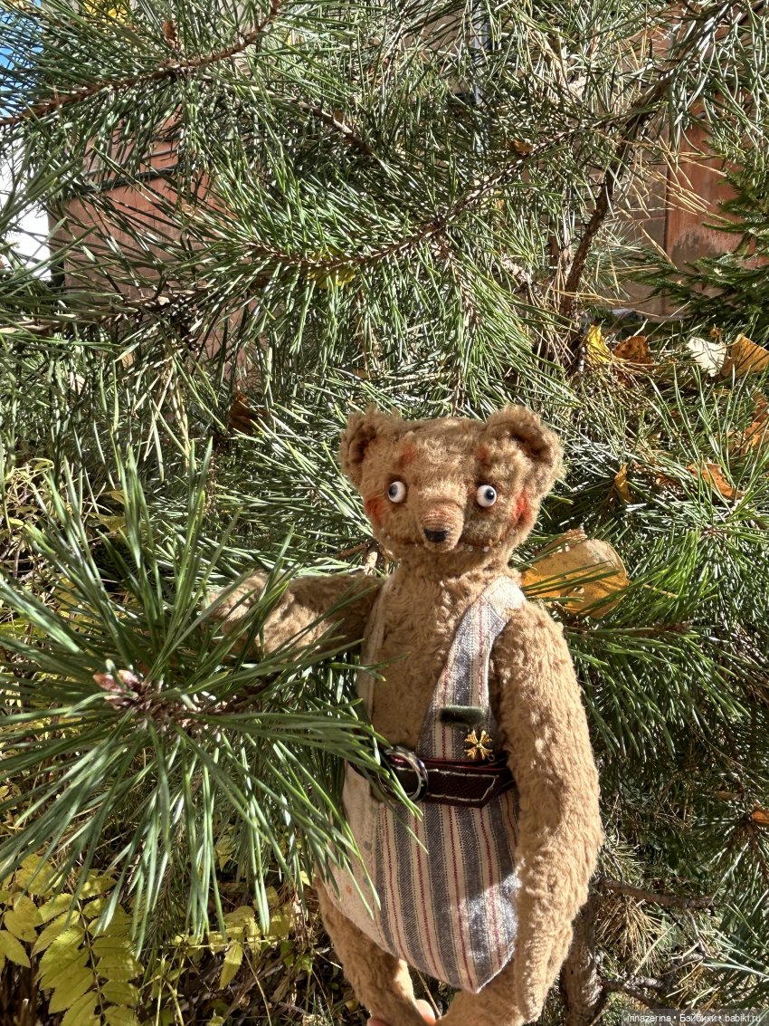 Миша и осень, которая пришла! 🍂