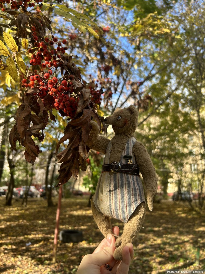 Миша и осень, которая пришла! 🍂 (фото 7)