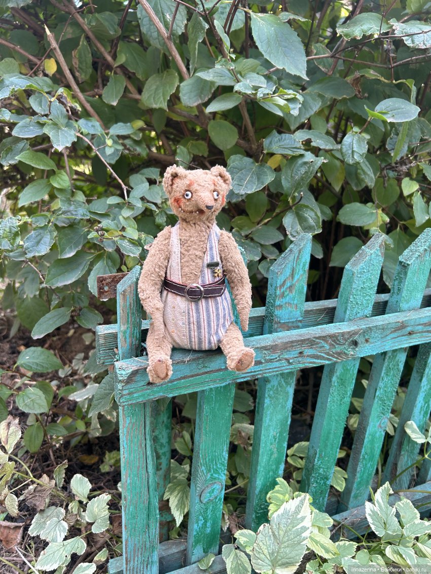 Миша и осень, которая пришла! 🍂 (фото 5)