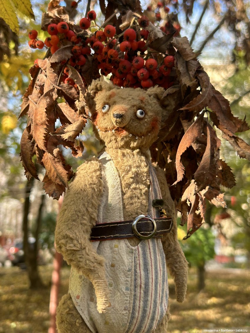 Миша и осень, которая пришла! 🍂 (фото 10)