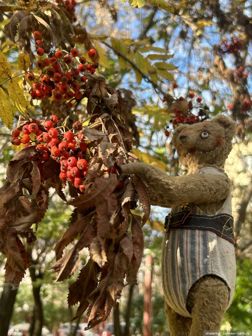 Миша и осень, которая пришла! 🍂