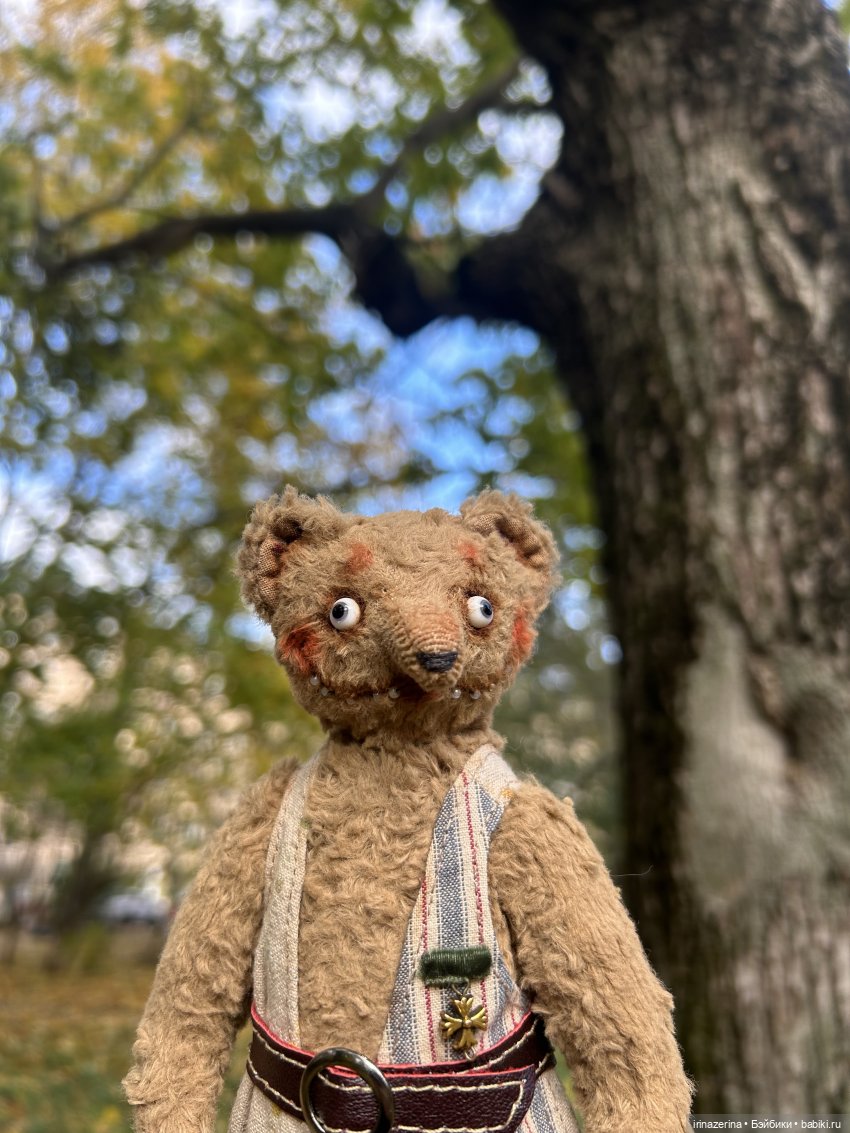 Миша и осень, которая пришла! 🍂 (фото 2)