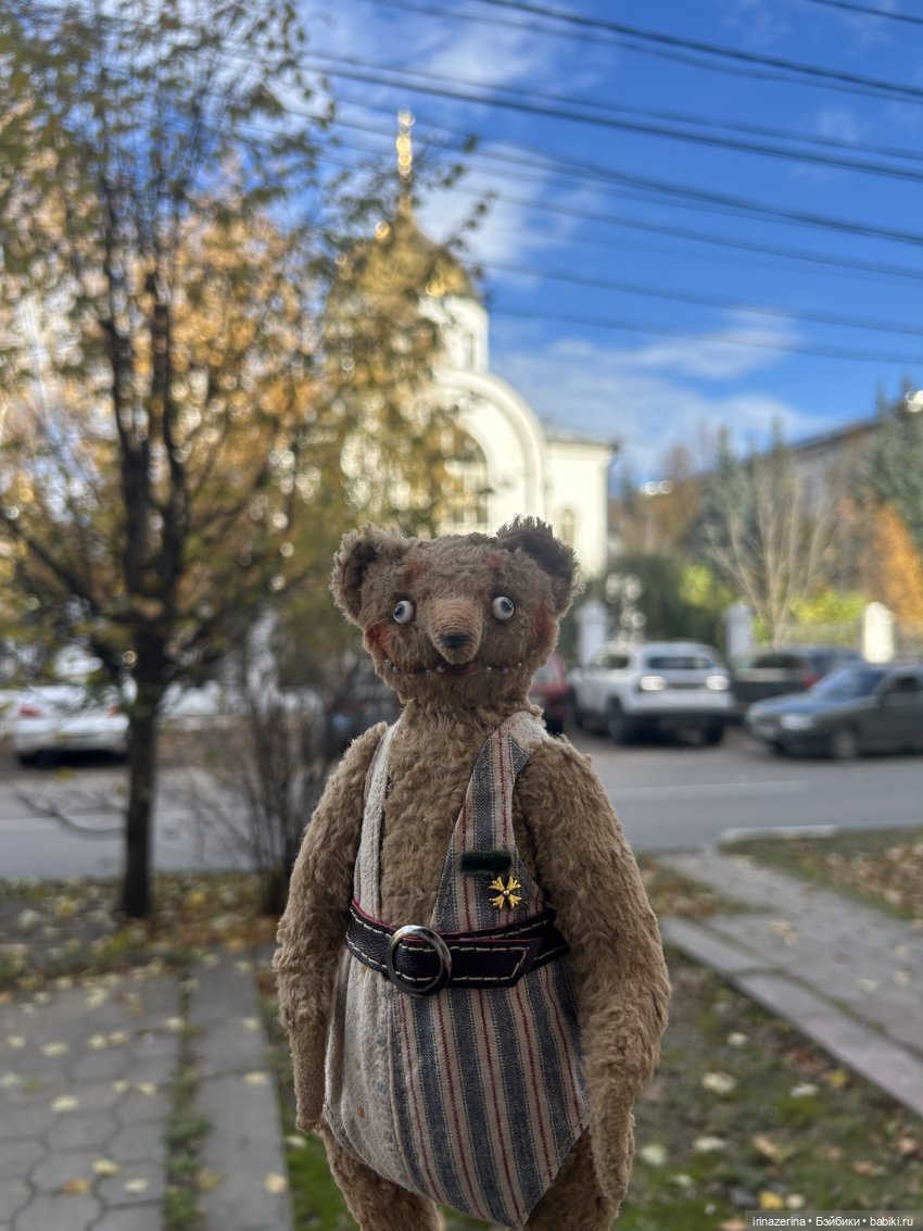 Миша и осень, которая пришла! 🍂