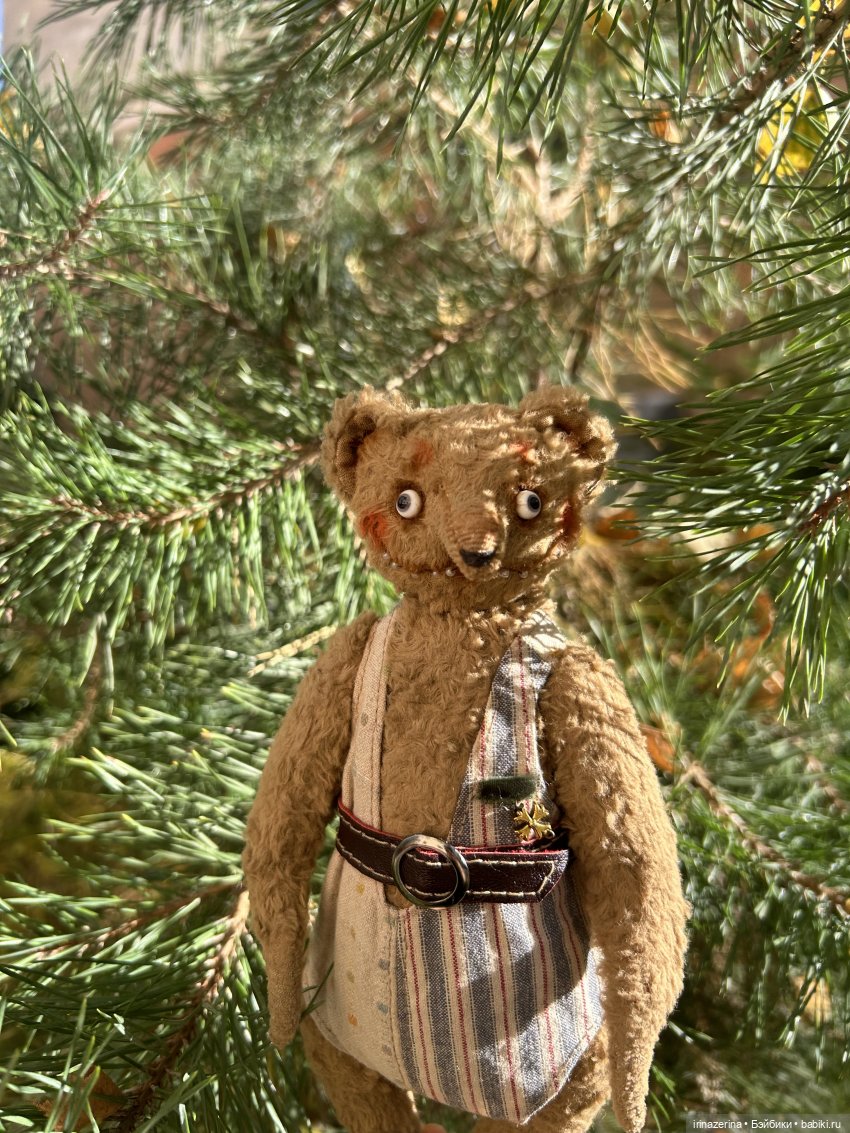 Миша и осень, которая пришла! 🍂