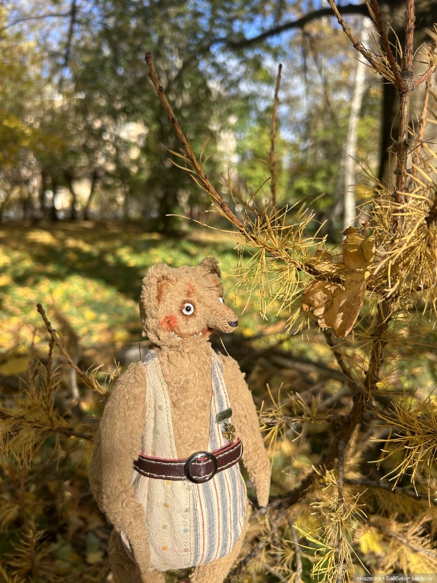 Миша и осень, которая пришла! 🍂 (фото 3)