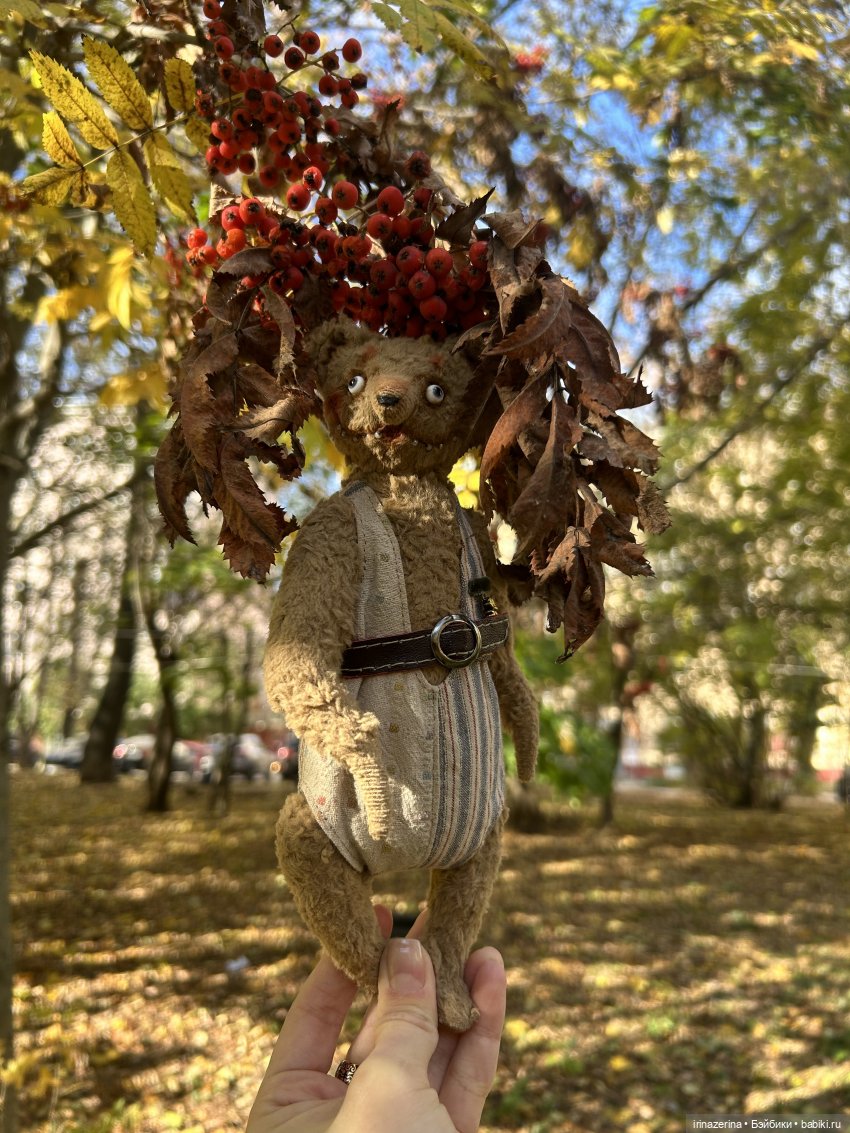 Миша и осень, которая пришла! 🍂 (фото 8)