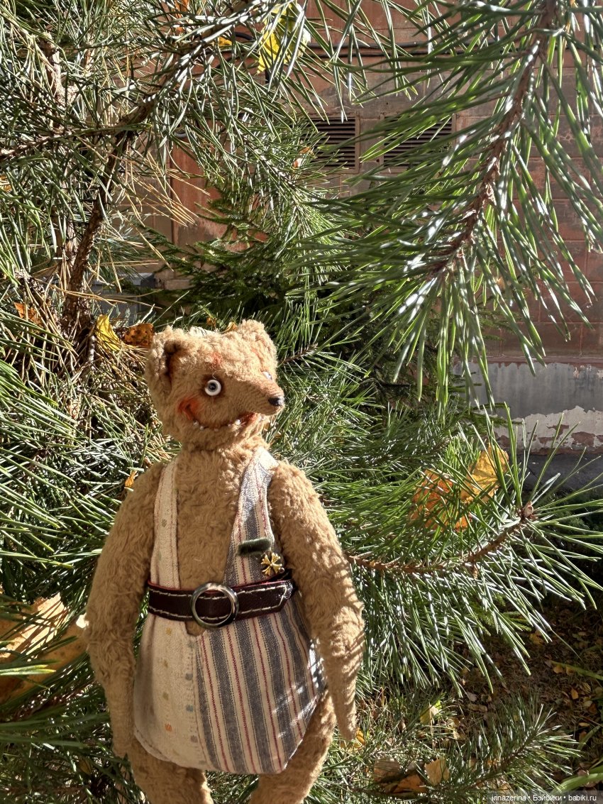 Миша и осень, которая пришла! 🍂