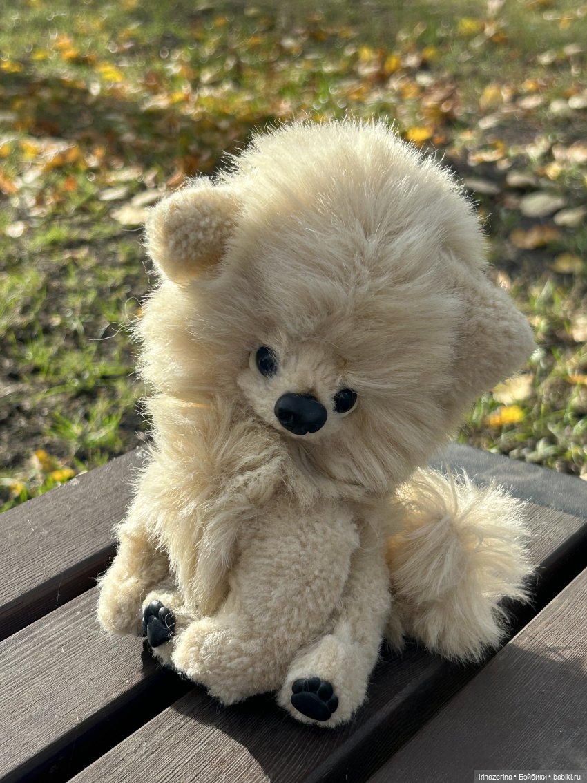 Шпиц Пекин на первой в своей жизни прогулке (фото 3)