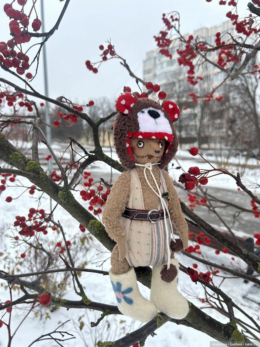 Наш старый друг! Боярышник (фото 6)