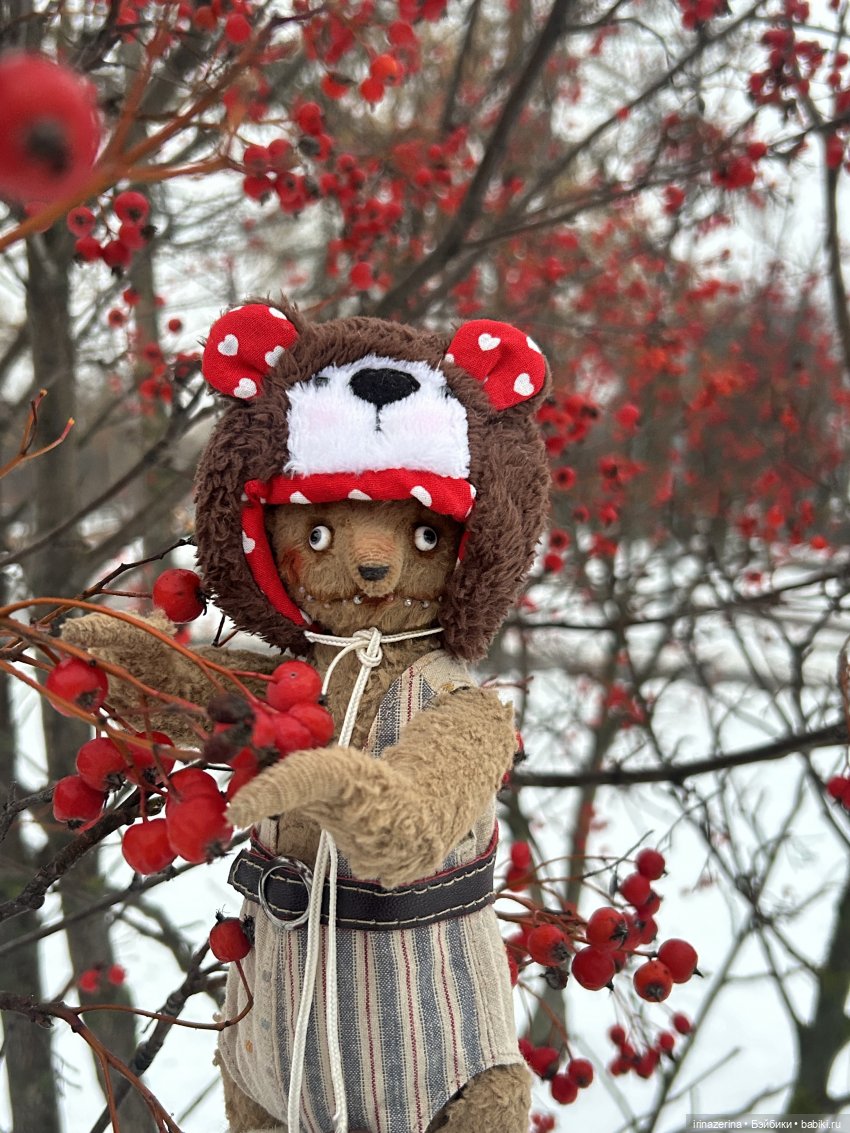 Наш старый друг! Боярышник