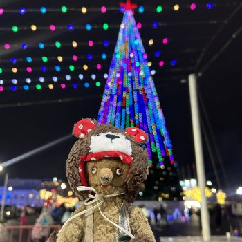 Мих Мух и Ёлка!