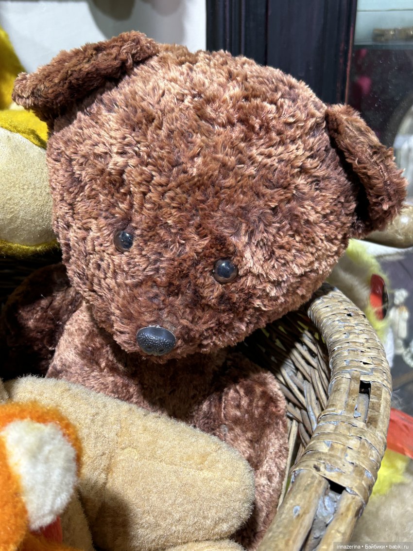 Когда лошадки были большими