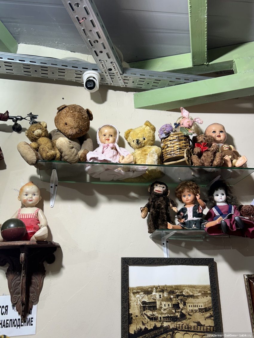 Когда лошадки были большими (фото 4)