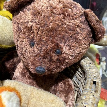 Когда лошадки были большими