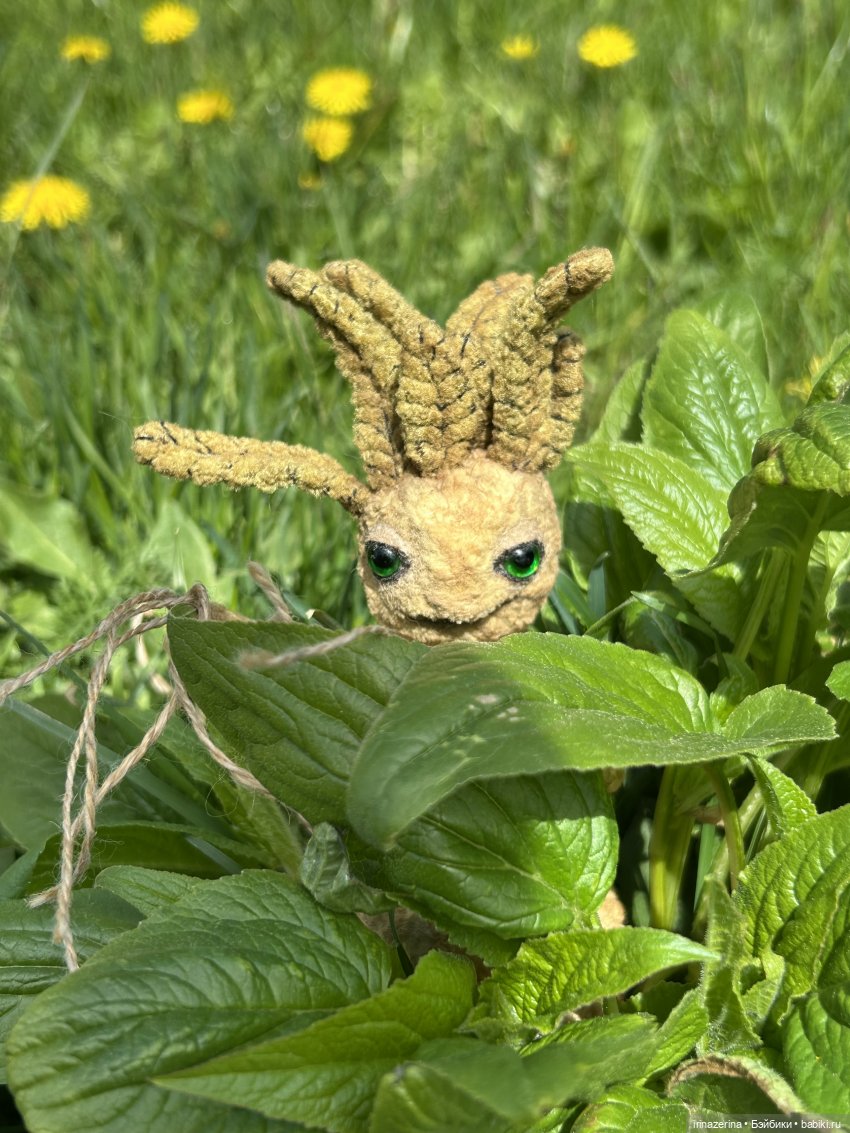 Чем удобряли, то и выросло (фото 2)