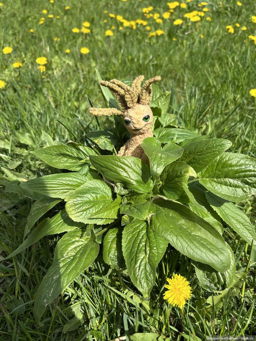 Чем удобряли, то и выросло (фото 4)