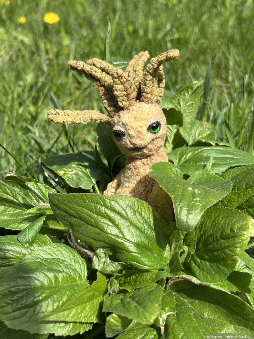 Чем удобряли, то и выросло (фото 3)