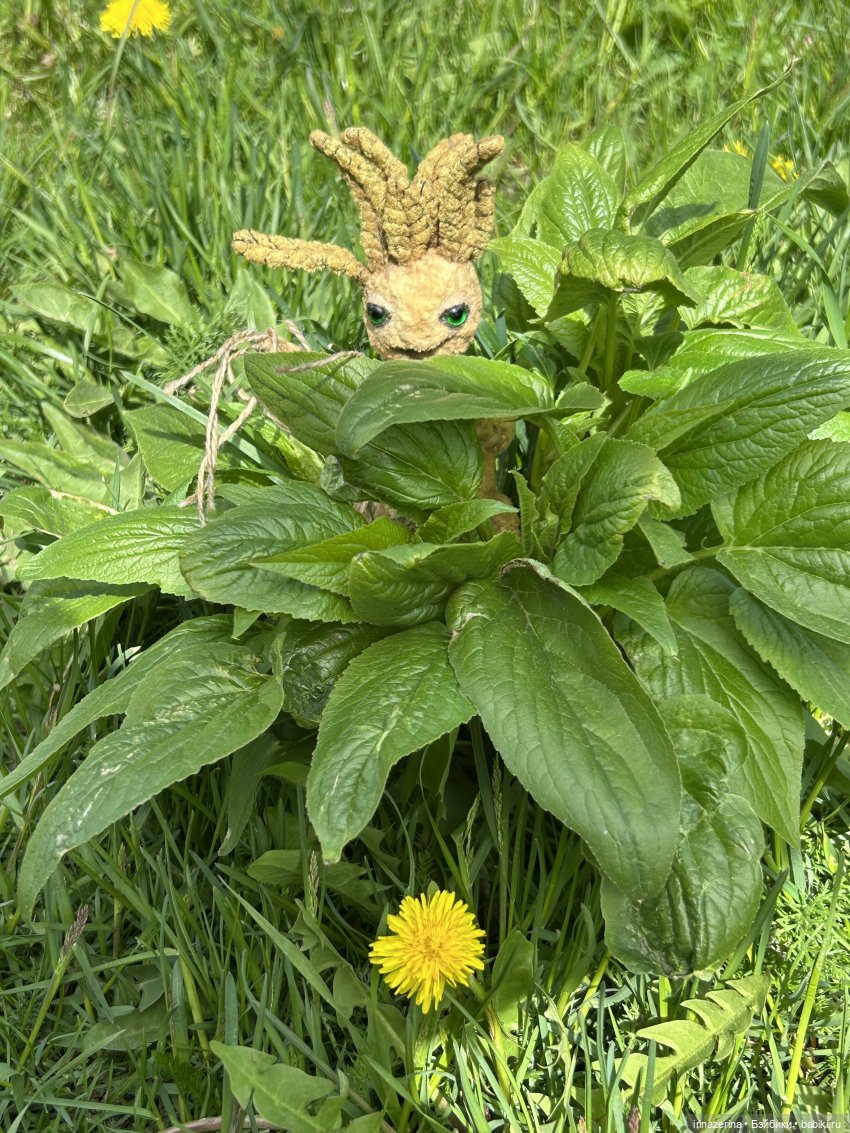 Чем удобряли, то и выросло