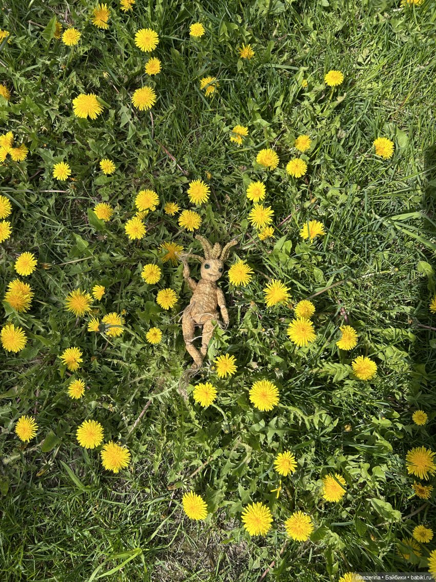 Чем удобряли, то и выросло (фото 9)