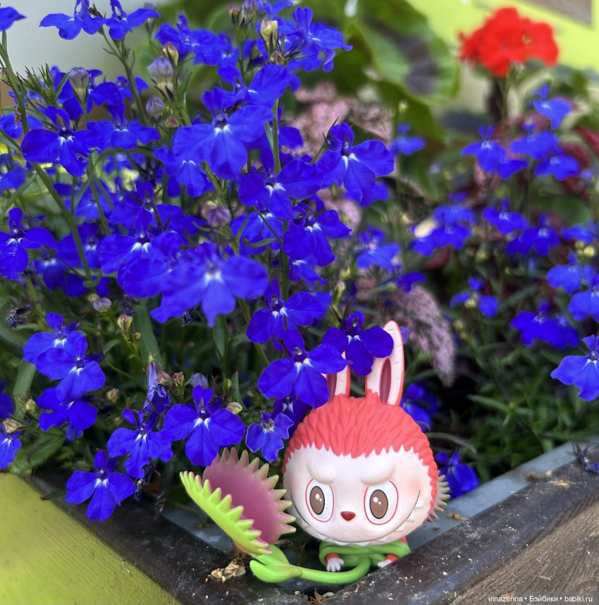 В мире животных (Лабубу) — Игровые куклы разных производителей (Разное): редкие бренды (фото 4)