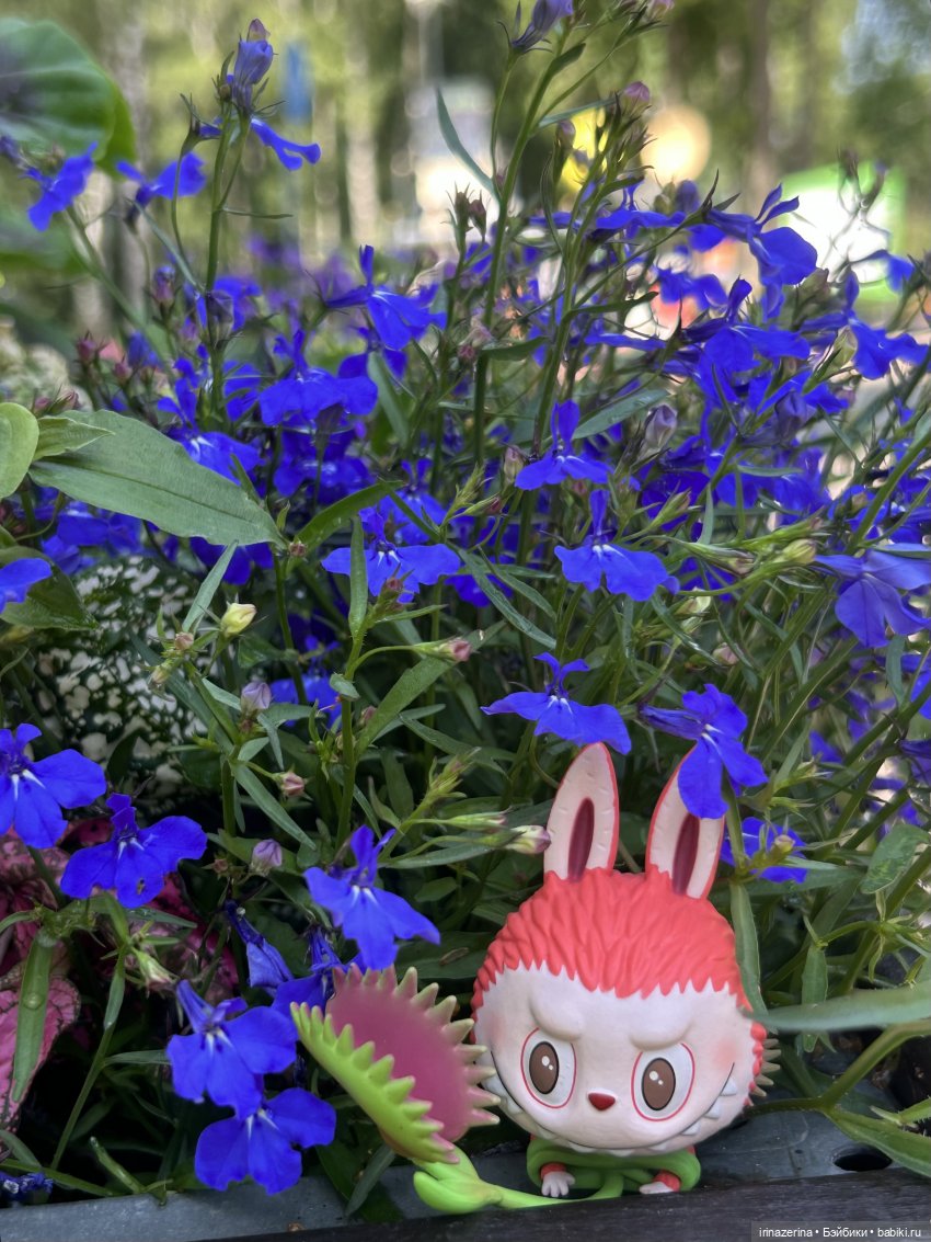 В мире животных (Лабубу) — Игровые куклы разных производителей (Разное): редкие бренды (фото 5)