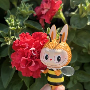 В мире животных (Лабубу)