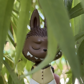 Ветер в ивах