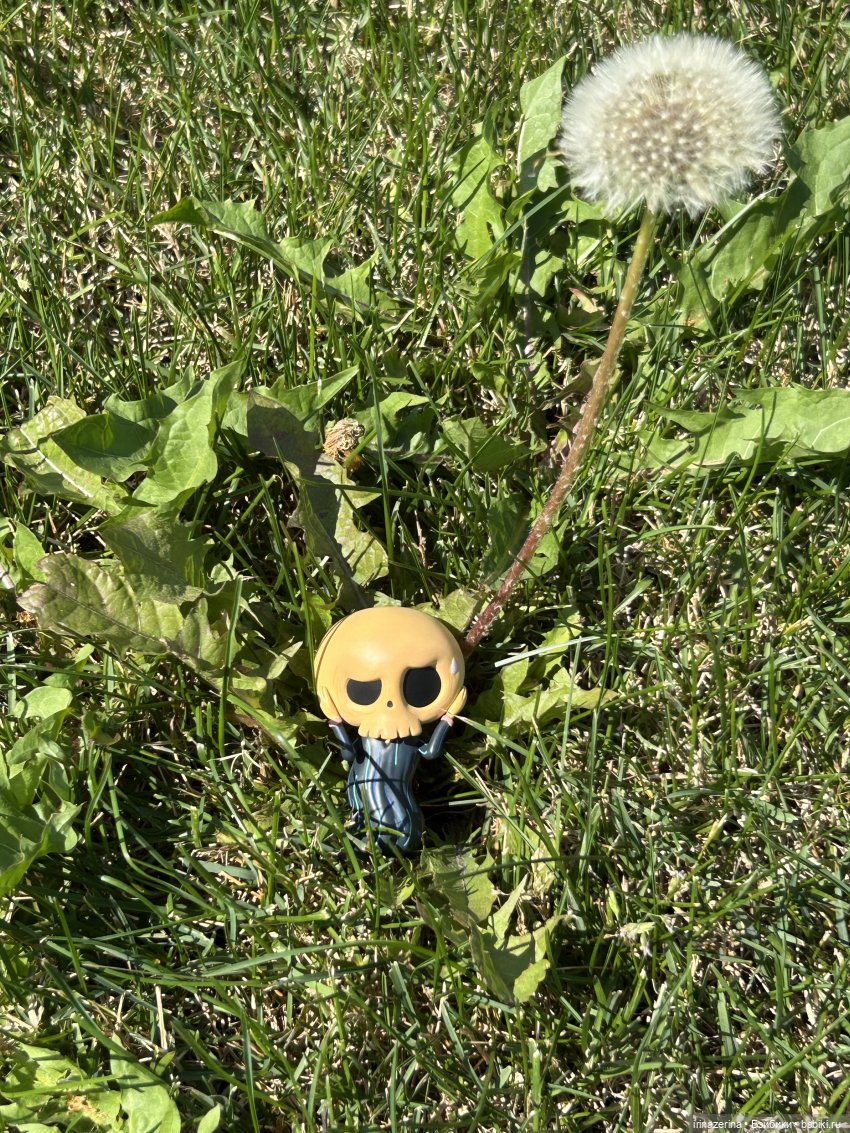 Лето с лабубу — Коллекционные фигурки (разное): животные