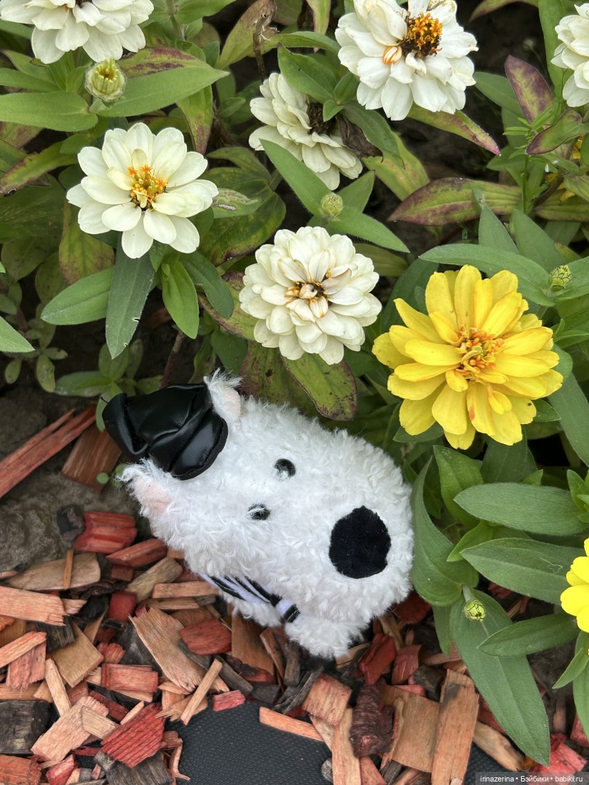 Потеряшка — Мягкие игровые и текстильные куклы: тряпичные (фото 3)