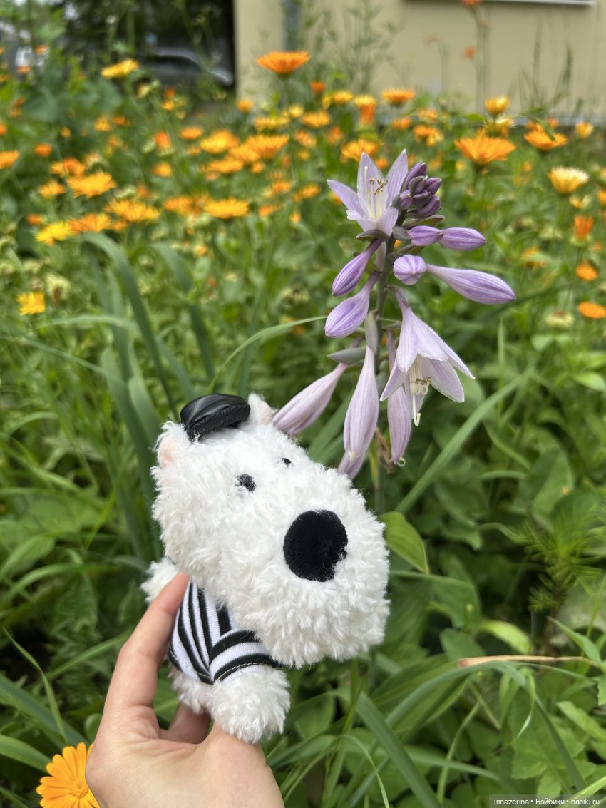 Потеряшка — Мягкие игровые и текстильные куклы: тряпичные