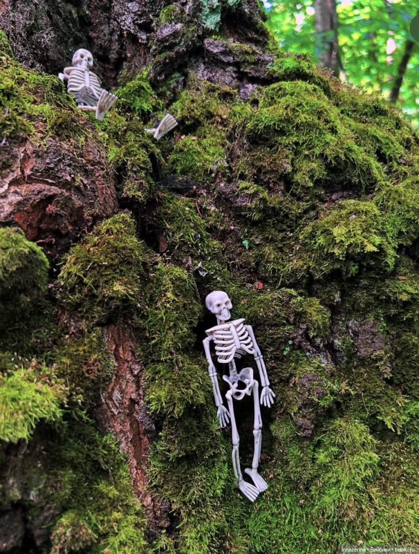 Салли Скелингтон в стране чудесных кошмаров