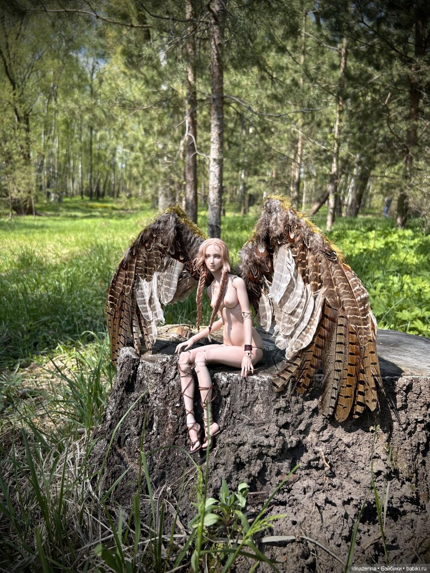 Сказ о девушке-Соколе — Разные куклы BJD (БЖД): редкие бренды