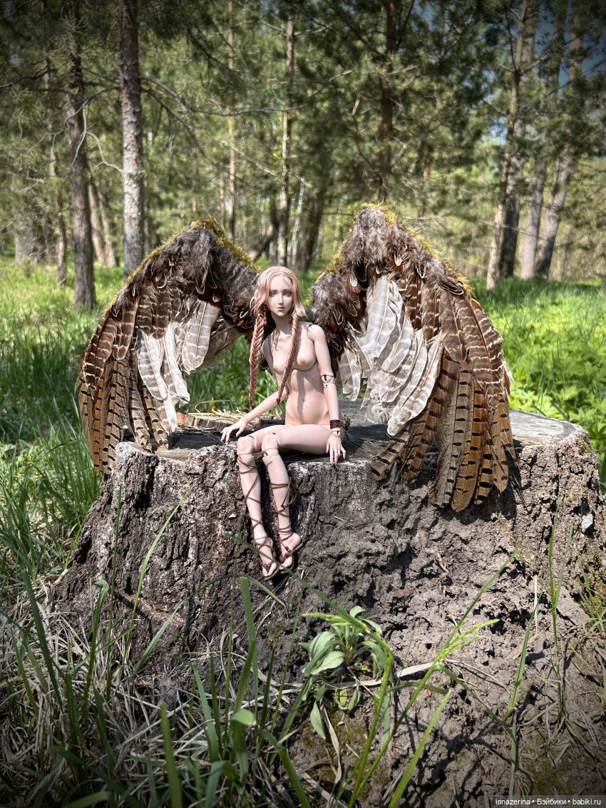 Сказ о девушке-Соколе — Разные куклы BJD (БЖД): редкие бренды
