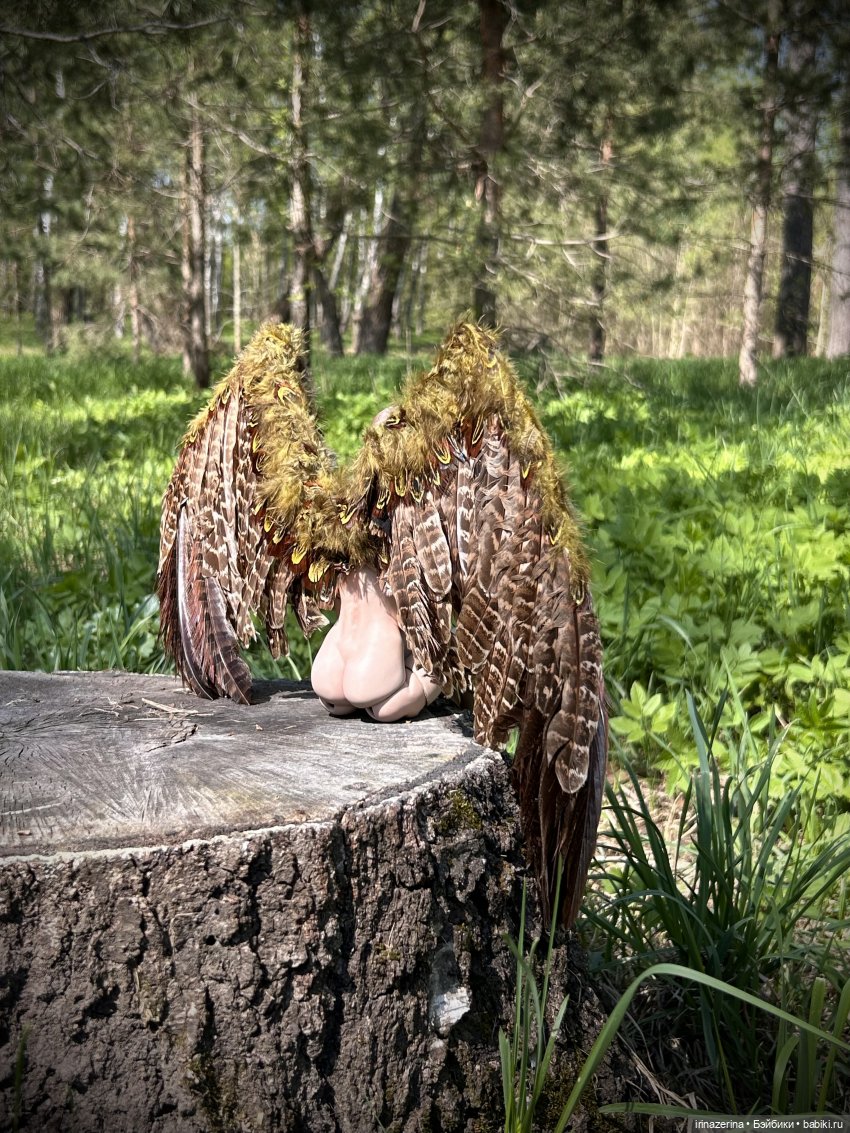 Сказ о девушке-Соколе — Разные куклы BJD (БЖД): редкие бренды