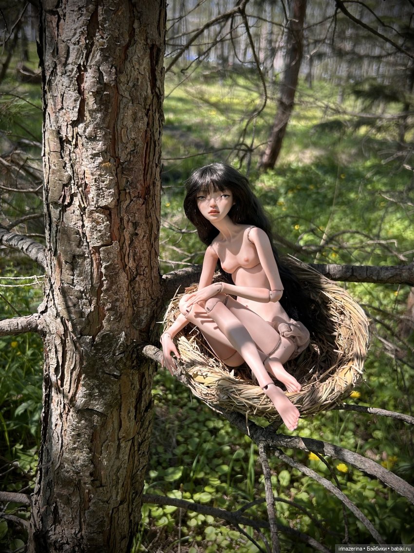 Тургай, маленькая птичка 🐦 🪹