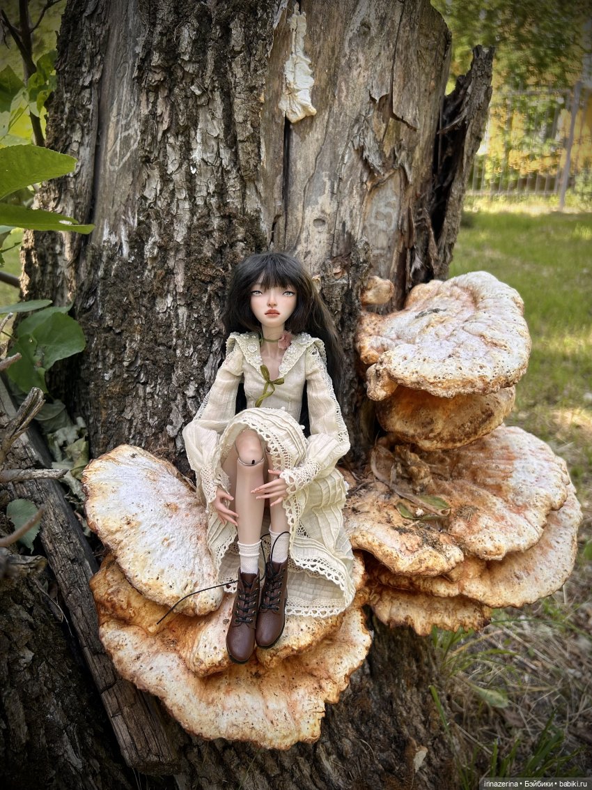 История одного пня 🍄 — Разные куклы BJD (БЖД): редкие бренды