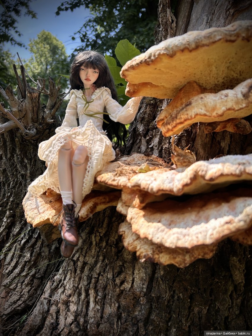 История одного пня 🍄 — Разные куклы BJD (БЖД): редкие бренды (фото 5)