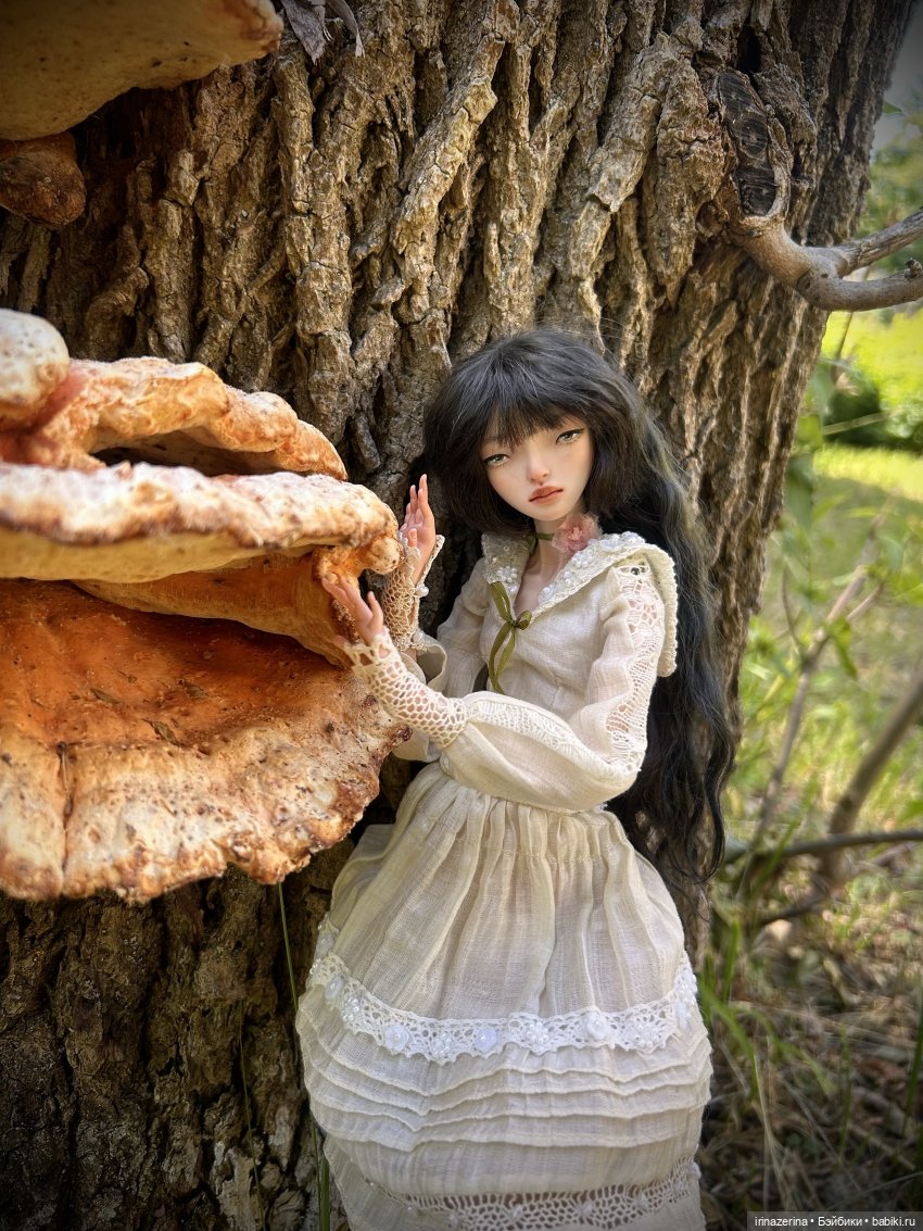 История одного пня 🍄 — Разные куклы BJD (БЖД): редкие бренды