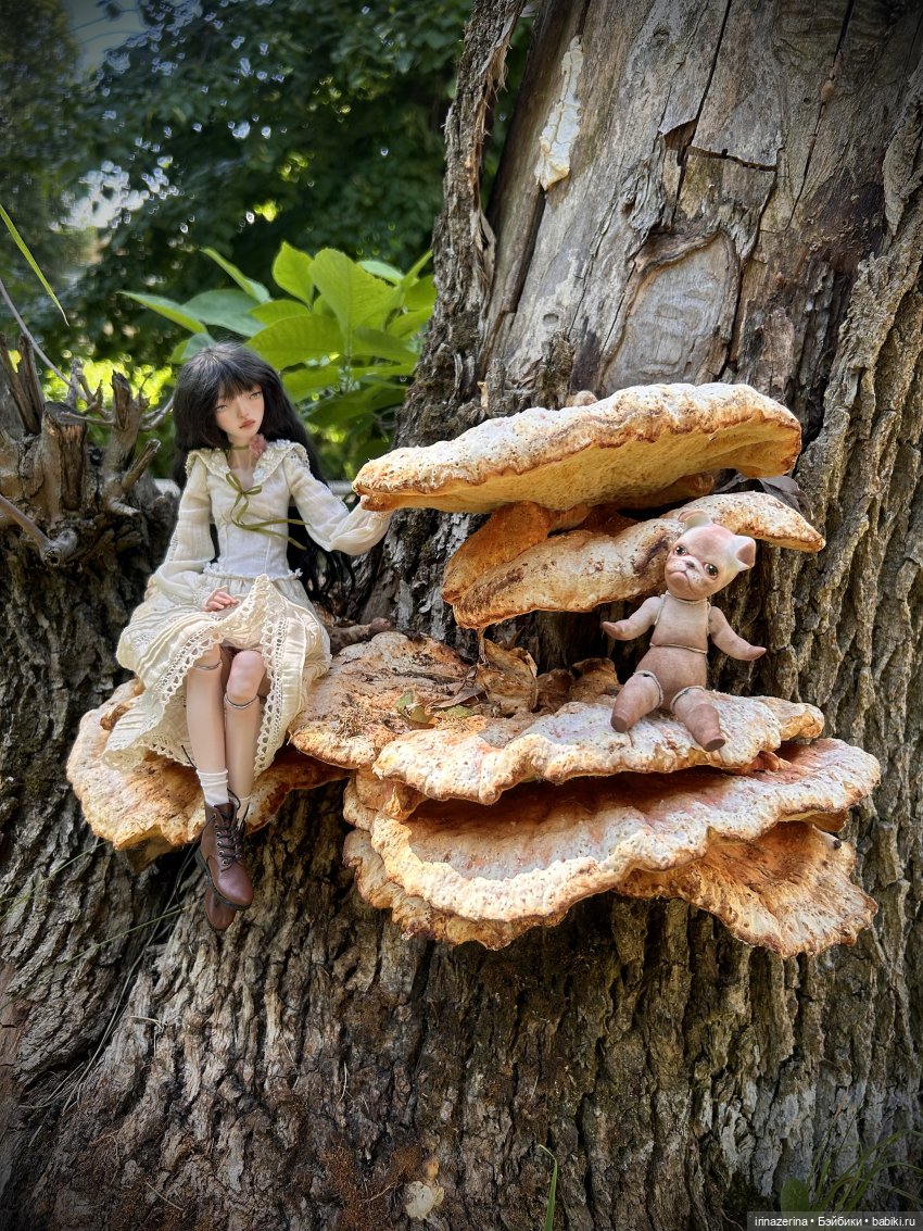 История одного пня 🍄 — Разные куклы BJD (БЖД): редкие бренды (фото 10)