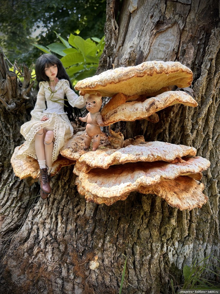 История одного пня 🍄 — Разные куклы BJD (БЖД): редкие бренды (фото 8)