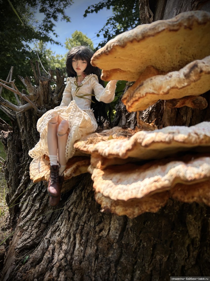 История одного пня 🍄 — Разные куклы BJD (БЖД): редкие бренды (фото 6)