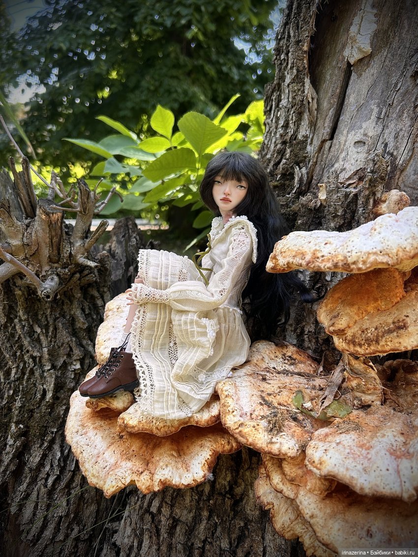 История одного пня 🍄 — Разные куклы BJD (БЖД): редкие бренды