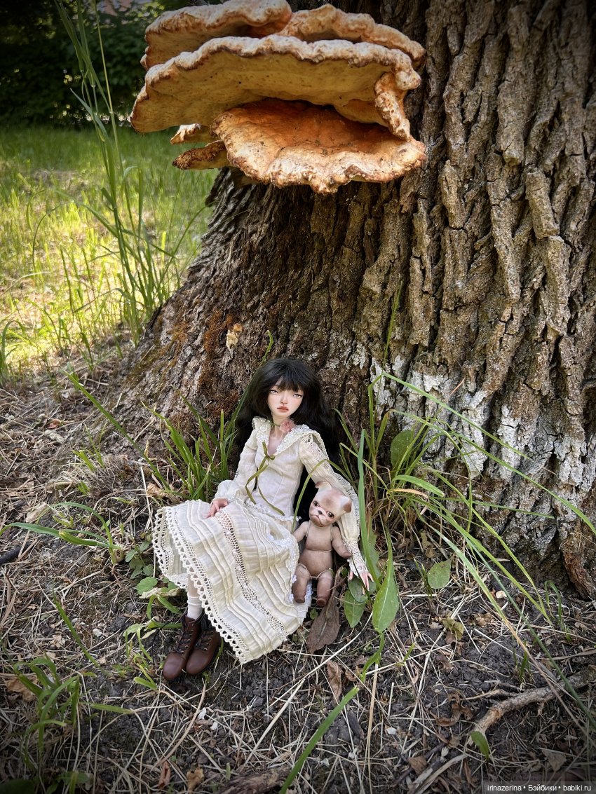 История одного пня 🍄 — Разные куклы BJD (БЖД): редкие бренды