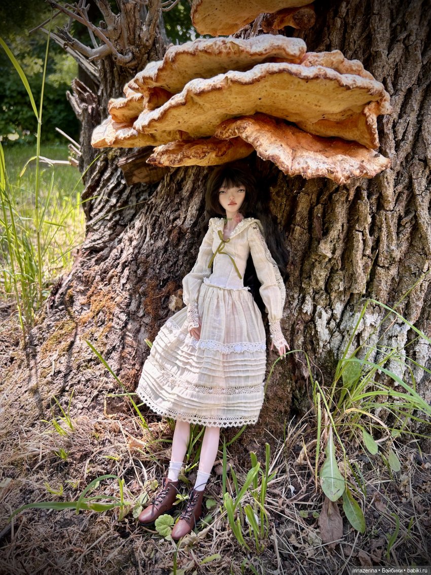 История одного пня 🍄 — Разные куклы BJD (БЖД): редкие бренды (фото 2)